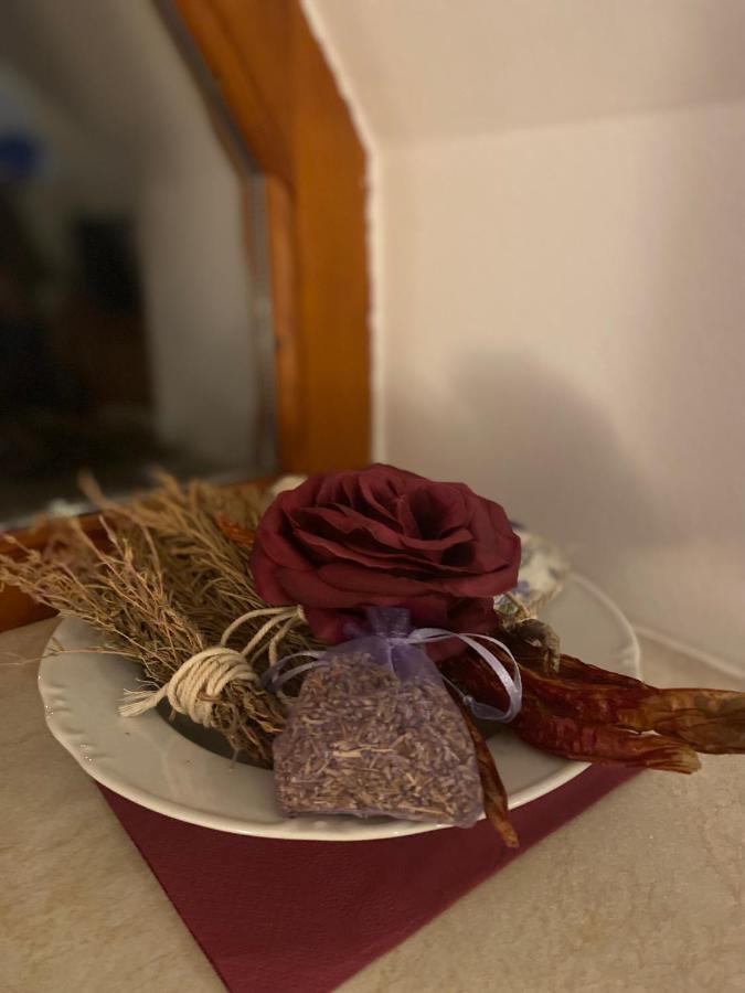 ホテルRestaurace U Vlkove Kamenice エクステリア 写真